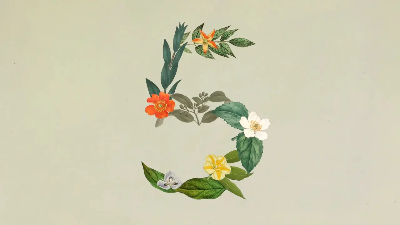 Anthropic Claude Sonnet 5 Tanıtıldı – AI Seviye Atladı