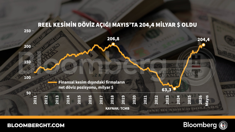Reel kesimin döviz açığı Mayıs'ta 204,4 milyar dolar oldu